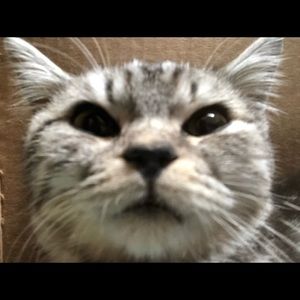 Meet your Posher, Wenjung